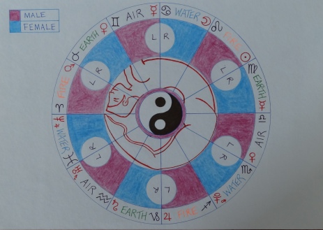 Yin Yang Human Zodiac